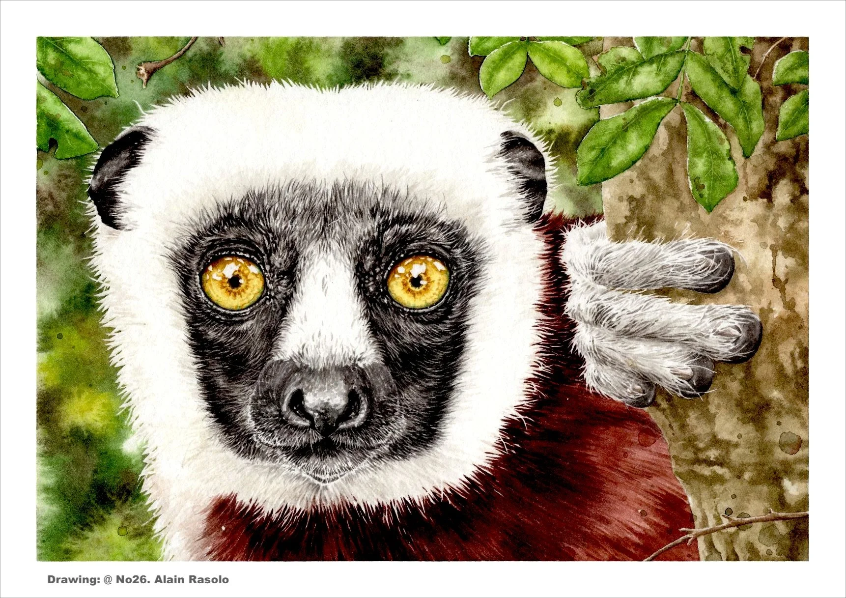 In Madagascar, Conservation and the Art of Saving Our Natural